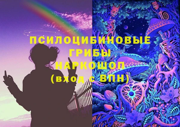 стафф Абинск