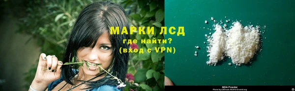 хмурый Абаза
