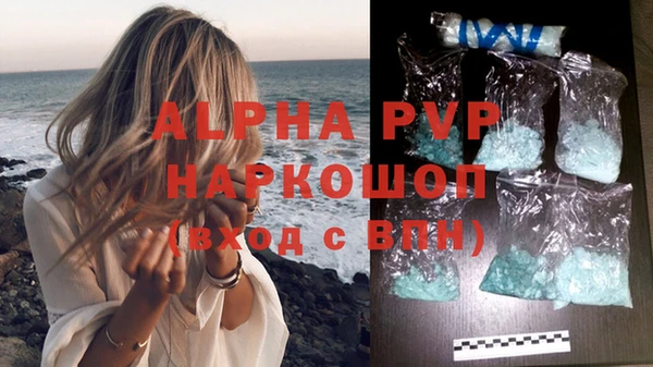 хмурый Абаза