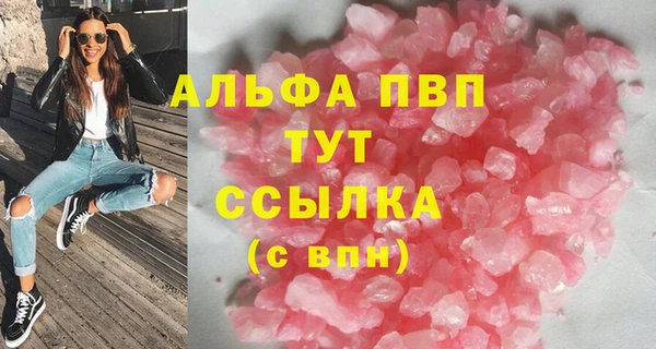 хмурый Абаза