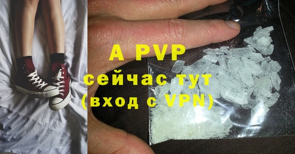 стафф Абинск
