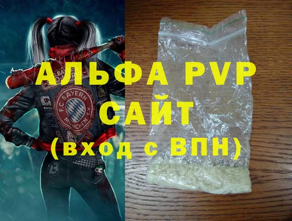 хмурый Абаза