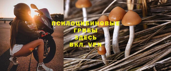 хмурый Абаза