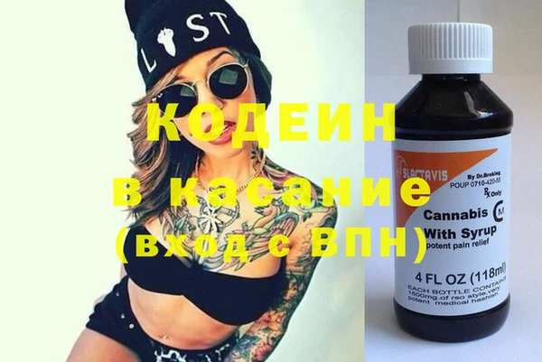 хмурый Абаза
