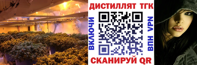 цена наркотик  Тырныауз  ТГК концентрат 
