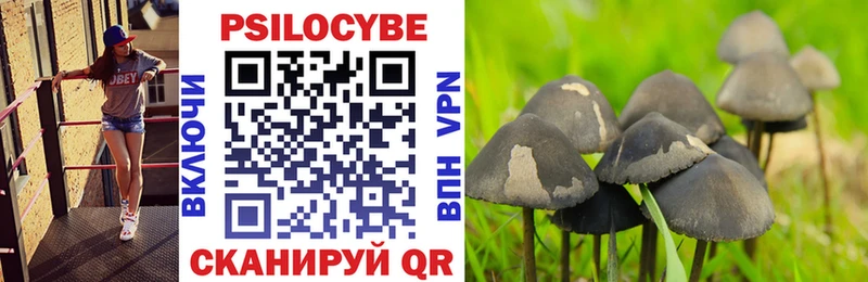 купить наркотики цена  Тырныауз  Псилоцибиновые грибы Psilocybe 